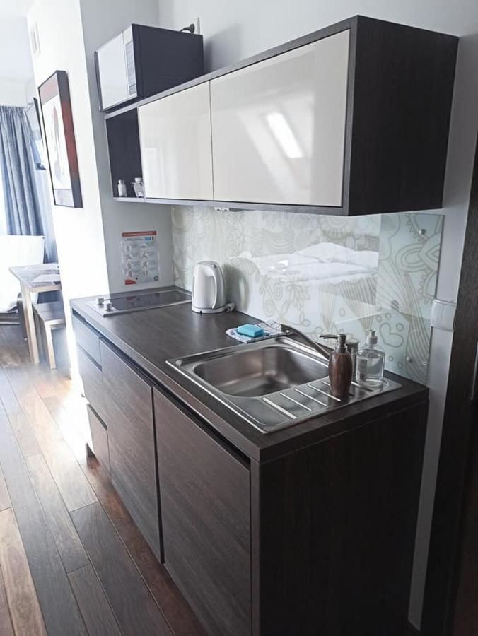 Апартаменты Apartamenty Grunwaldzka Закопане-13