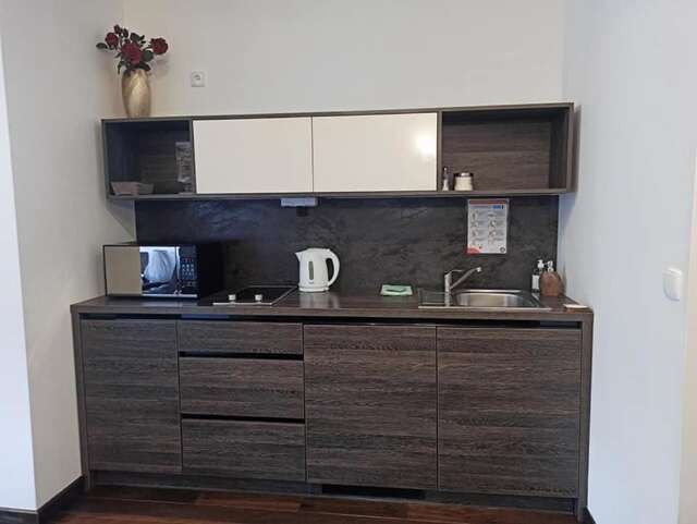 Апартаменты Apartamenty Grunwaldzka Закопане-49